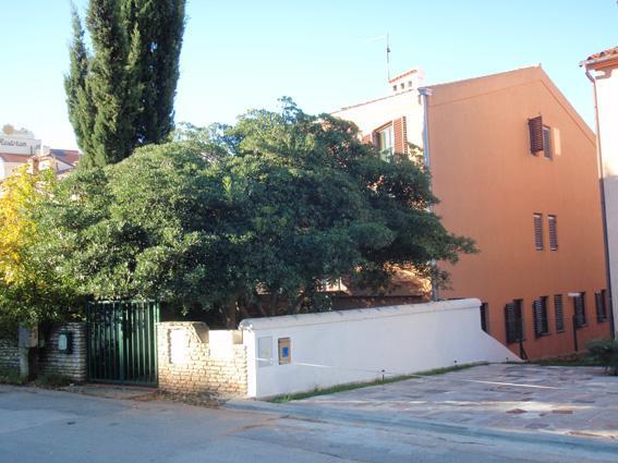 Apartman Art Legovic Póla